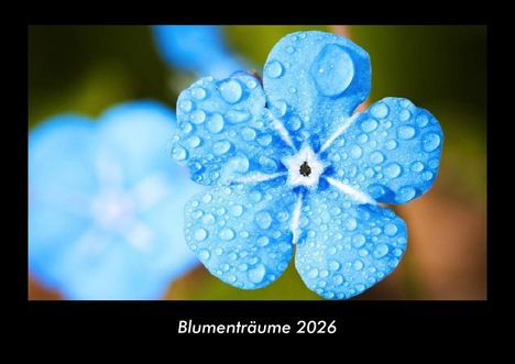 Tobias Becker: Blumenträume 2026 Fotokalender DIN A3, Kalender