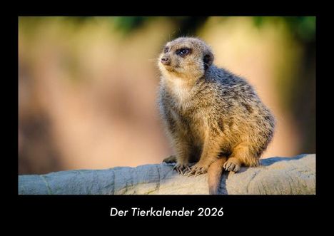 Tobias Becker: Der Tierkalender 2026 Fotokalender DIN A3, Kalender