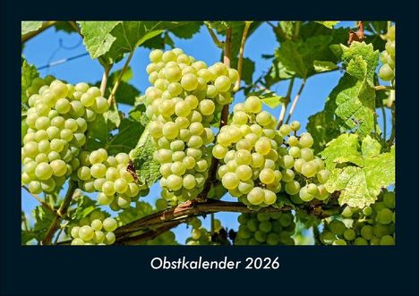 Tobias Becker: Obstkalender 2026 Fotokalender DIN A4, Kalender