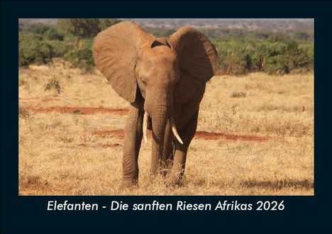 Tobias Becker: Elefanten - Die sanften Riesen Afrikas 2026 Fotokalender DIN A5, Kalender