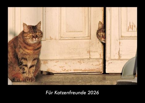 Tobias Becker: Für Katzenfreunde 2026 Fotokalender DIN A3, Kalender