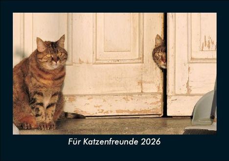 Tobias Becker: Für Katzenfreunde 2026 Fotokalender DIN A5, Kalender