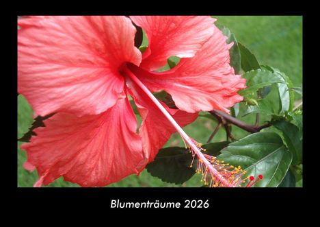 Tobias Becker: Blumenträume 2026 Fotokalender DIN A3, Kalender