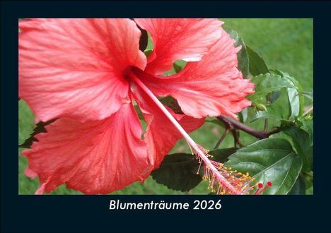 Tobias Becker: Blumenträume 2026 Fotokalender DIN A5, Kalender