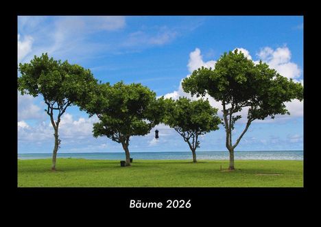 Tobias Becker: Bäume 2026 Fotokalender DIN A3, Kalender
