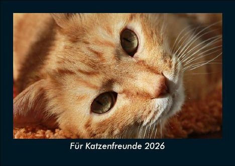 Tobias Becker: Für Katzenfreunde 2026 Fotokalender DIN A5, Kalender