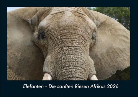 Tobias Becker: Elefanten - Die sanften Riesen Afrikas 2026 Fotokalender DIN A4, Kalender