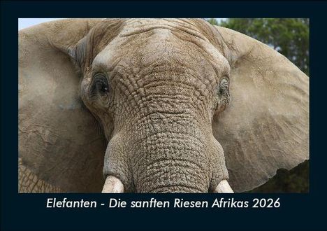 Tobias Becker: Elefanten - Die sanften Riesen Afrikas 2026 Fotokalender DIN A5, Kalender