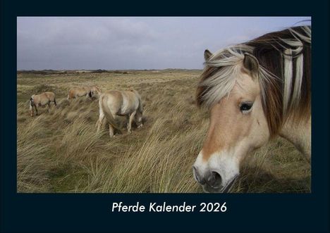 Tobias Becker: Pferde Kalender 2026 Fotokalender DIN A4, Kalender