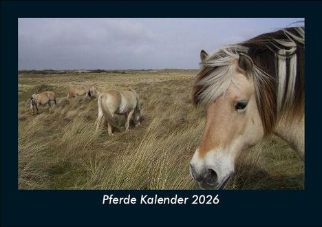 Tobias Becker: Pferde Kalender 2026 Fotokalender DIN A5, Kalender