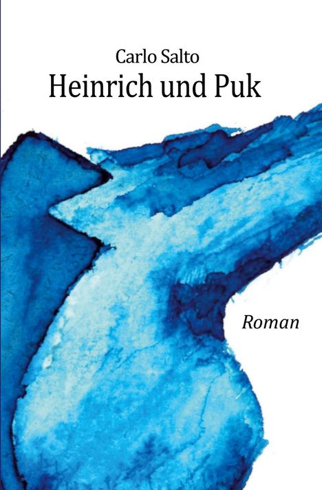 "Carlo Salto, Heinrich und Puk, Roman" steht über einer blauen Aquarell-Illustration.