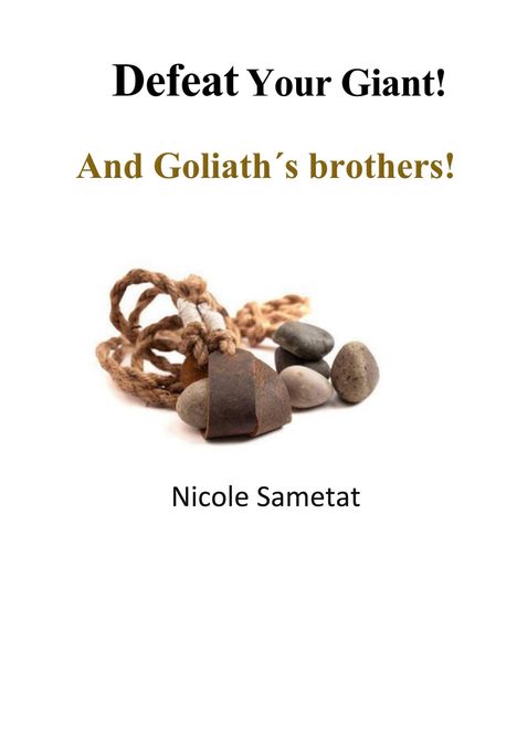 "Defeat Your Giant! And Goliath's brothers!" Nicole Sametat. Eine Steinschleuder mit Steinen, auf hellem Grund.