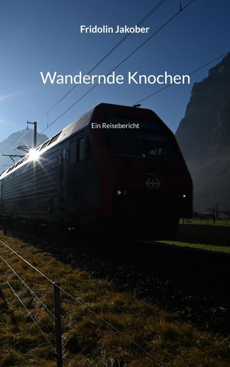 Titel: Wandernede Knochen. Autor: Fridolin Jakober. Untertitel: Ein Reisebericht. Zug vor Berglandschaft, Sonne blendet.