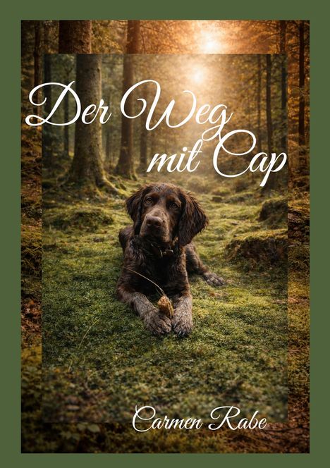 "Der Weg mit Cap" von Carmen Rabe. Ein Hund liegt in einem sonnendurchfluteten Wald auf moosigem Boden.