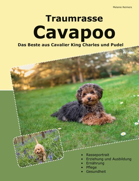 "Traumrasse Cavapoo: Das Beste aus Cavalier King Charles und Pudel." Enthält Fotos von zwei Cavapoos im Gras. Themen: Rasse, Erziehung, Ernährung, Pflege, Gesundheit.