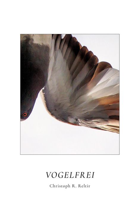 „VOGELFREI“ – Christoph R. Reltir. Nahaufnahme eines fliegenden Vogels von unten.