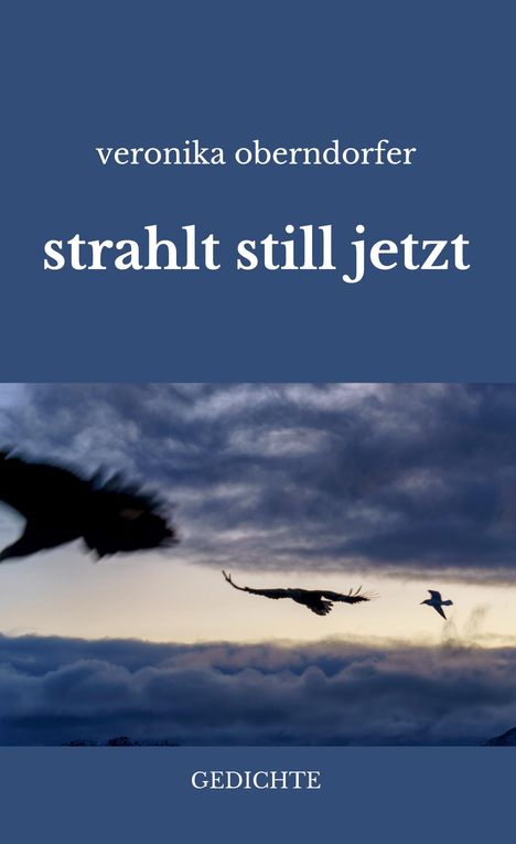 Veronika Oberndorfer, "strahlt still jetzt". Gedichte. Silhouetten von Vögeln fliegen über eine bewölkte, dämmernde Landschaft.
