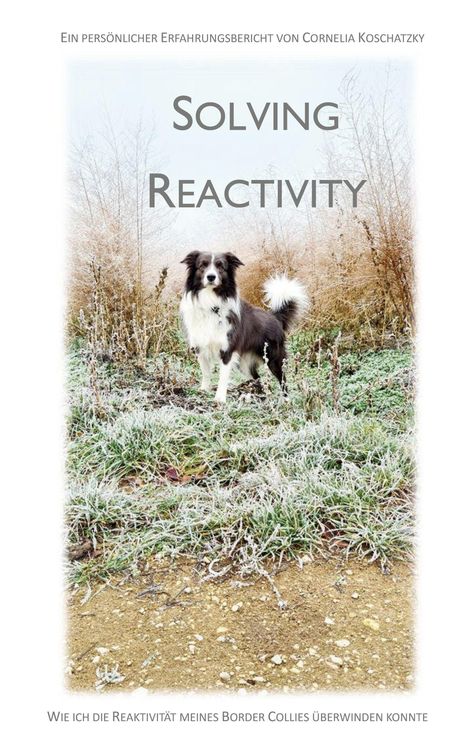 „Solving Reactivity.“ Ein Border Collie steht in einer winterlichen Wiese voller Raureif.
