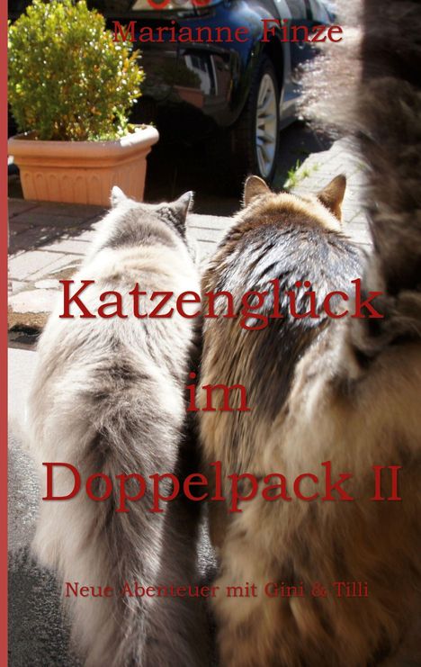 "Katzenglück im Doppelpack II" und "Neue Abenteuer mit Gini & Tilli". Zwei Katzen von hinten auf einem Weg.
