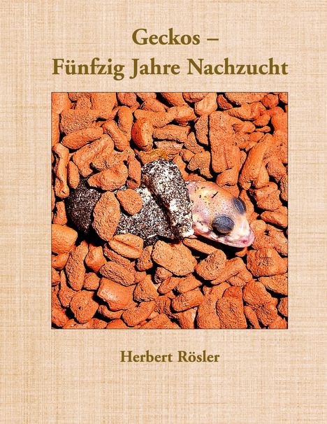 "Geckos – Fünfzig Jahre Nachzucht" von Herbert Rösler. Ein Gecko unter rötlichen Steinen.