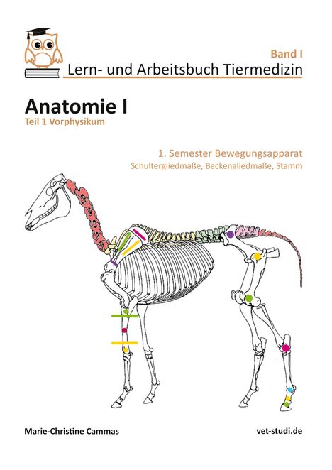 Titel: "Lern- und Arbeitsbuch Tiermedizin", "Anatomie I", "1.Semester Bewegungsapparat". Skelett eines Pferdes in Farbe.