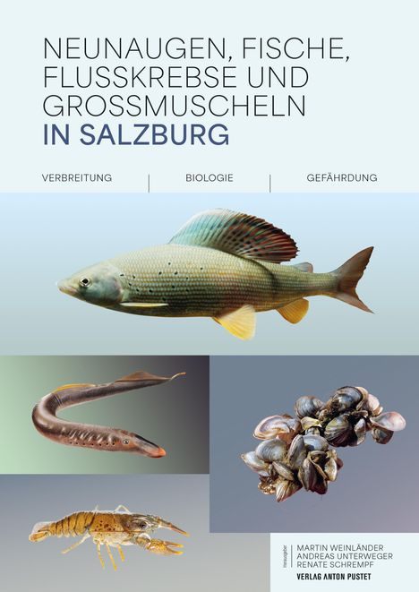 Martin Weinländer: Neunaugen, Fische, Flusskrebse und Großmuscheln in Salzburg, Buch