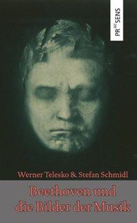 Werner Telesko: Beethoven und die Bilder der Musik, Buch
