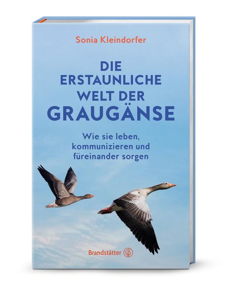 Sonia Kleindorfer: Die erstaunliche Welt der Graugänse, Buch
