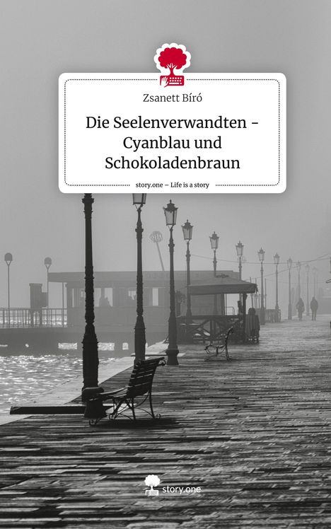 Zsanett Bíró: Die Seelenverwandten - Cyanblau und Schokoladenbraun. Life is a Story - story.one, Buch