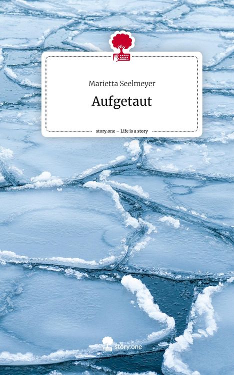 Marietta Seelmeyer: Aufgetaut. Life is a Story - story.one, Buch