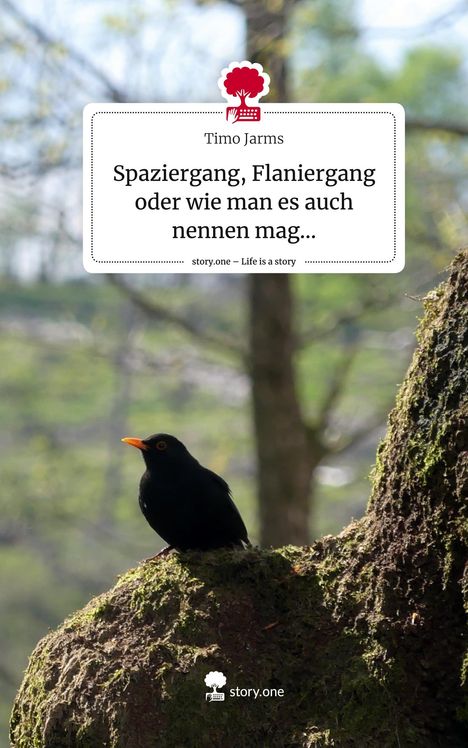 Timo Jarms: Spaziergang, Flaniergang oder wie man es auch nennen mag.... Life is a Story - story.one, Buch