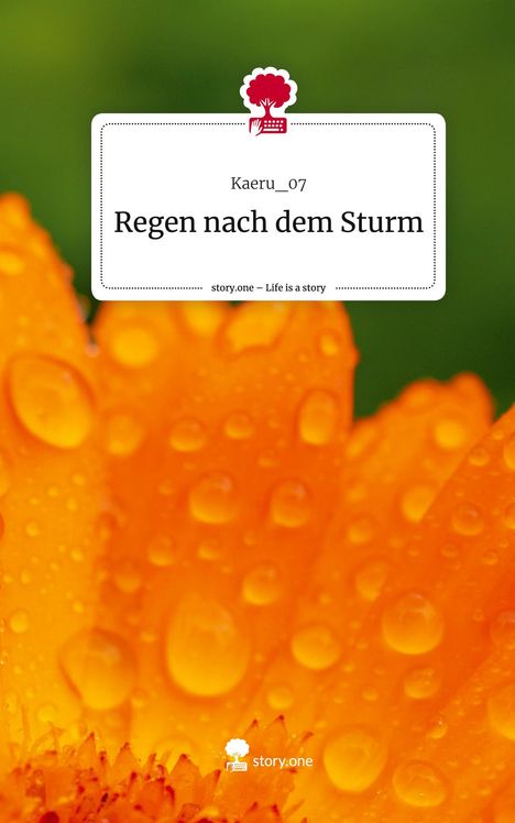 Kaeru_07: Regen nach dem Sturm. Life is a Story - story.one, Buch