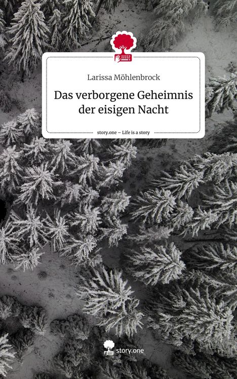 Larissa Möhlenbrock: Das verborgene Geheimnis der eisigen Nacht. Life is a Story - story.one, Buch