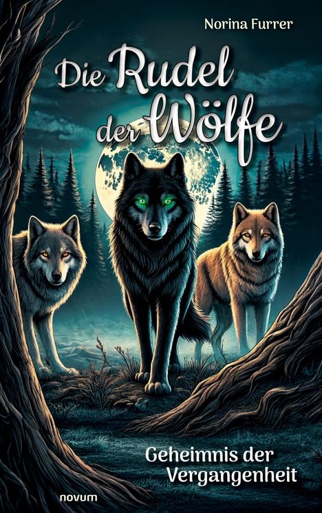 Text: "Cover, novum Verlag, novum". 
Ein offenes Buch mit glänzenden Seiten in Schwarz-Weiß, die sich zum Betrachter hin wölben.