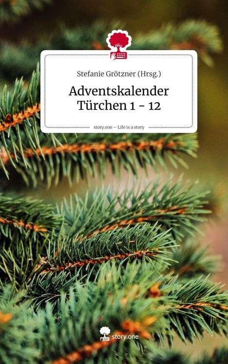 Stefanie Grötzner (Hrsg.), Adventskalender Türchen 1 - 12. story.one – Life is a story. Nahaufnahme von Tannenzweigen.