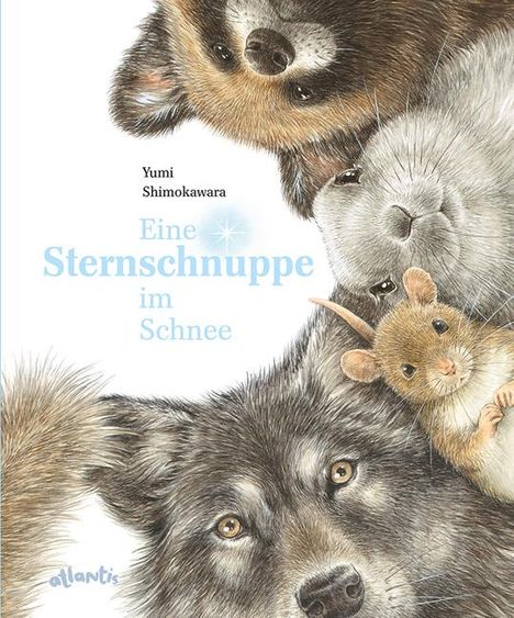 Yumi Shimokawara: Eine Sternschnuppe im Schnee, Buch