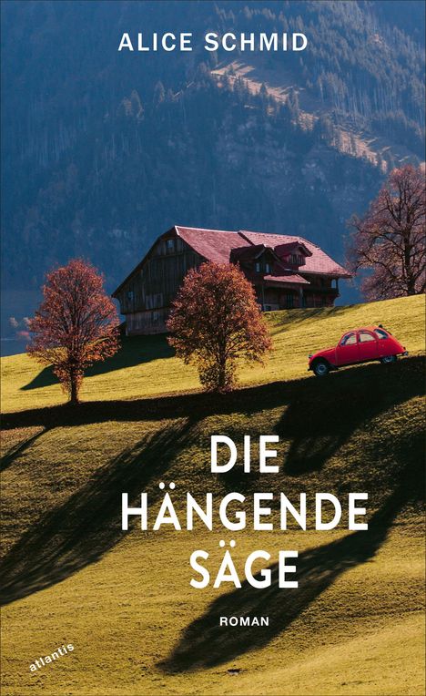 Alice Schmid: Die hängende Säge, Buch