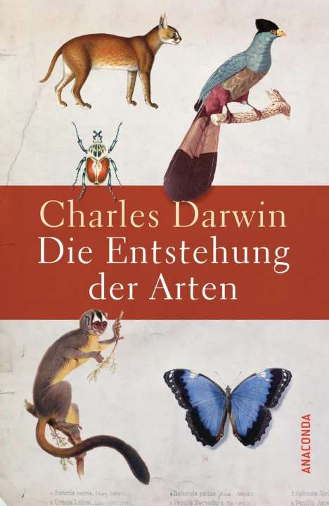 Charles Darwin: Darwin, C: Entstehung der Arten, Buch