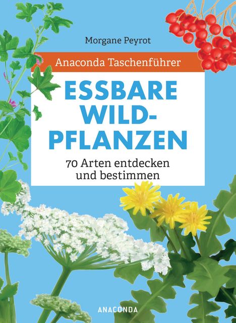 Morgane Peyrot: Anaconda Taschenführer Essbare Wildpflanzen. 70 Arten bestimmen und entdecken. -, Buch