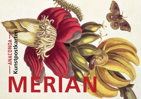 Postkarten-Set Maria Sibylla Merian, Buch