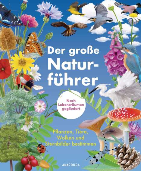 Morgane Peyrot: Der große Naturführer. Pflanzen, Tiere, Wolken und Sternbilder bestimmen. Nach Lebensräumen gegliedert., Buch