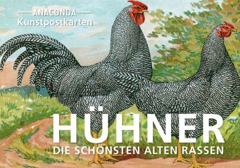 Postkarten-Set Hühner, Diverse