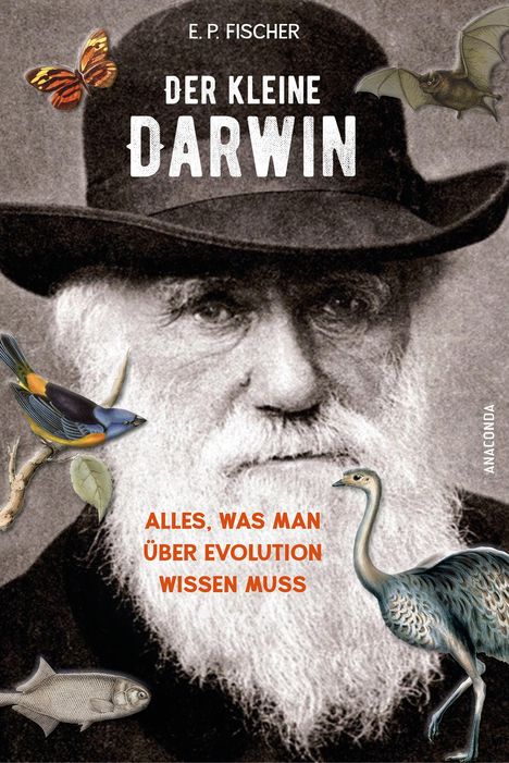 Ernst Peter Fischer: Der kleine Darwin. Alles, was man über Evolution wissen muss, Buch