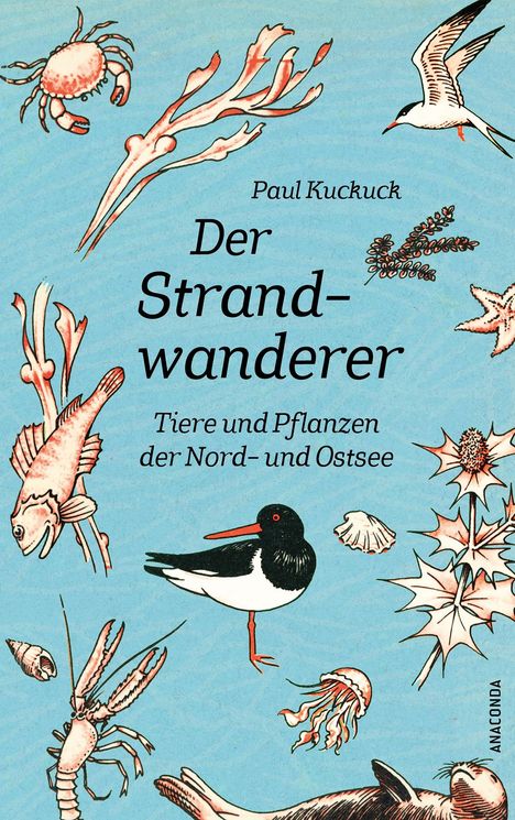 Paul Kuckuck: Der Strandwanderer. Tiere und Pflanzen der Nord- und Ostsee, Buch