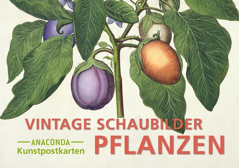 Postkarten-Set Vintage-Schaubilder Pflanzen, Buch