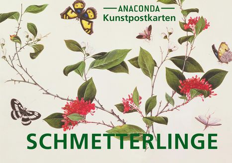 Postkarten-Set Schmetterlinge, Diverse