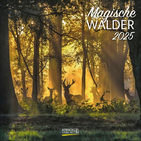 Magische Wälder 2025, Kalender