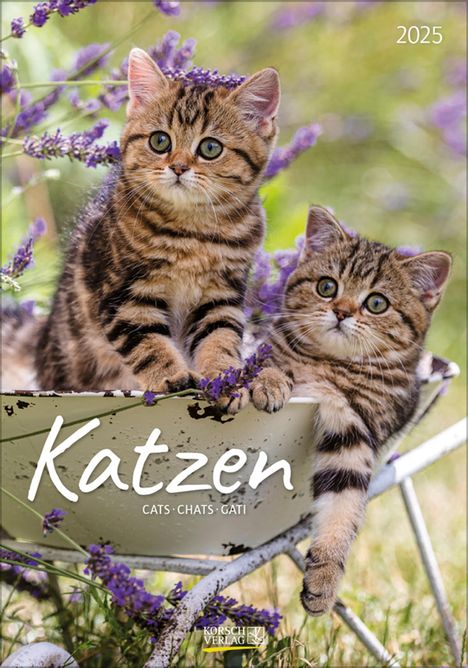 Katzen 2025, Kalender