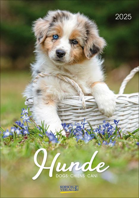 Hunde 2025, Kalender