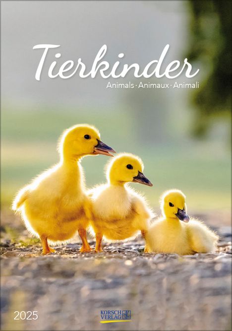 Tierkinder 2025, Kalender